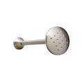 Anartisi Ampraz A2 Nickel Satine